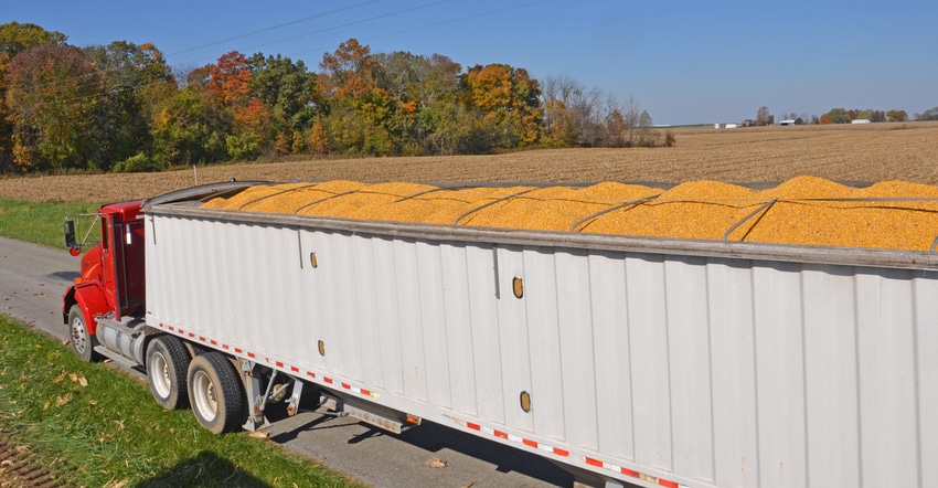 truck filled with harvested corn