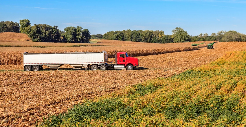 A rural autumn scene showing a corn field, a farmer harvesting corn with his combine and a grain truck, in the corn field, wa