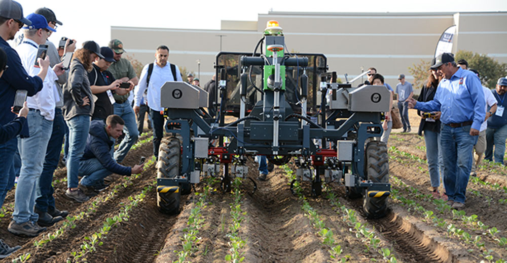 Robot in a test field
