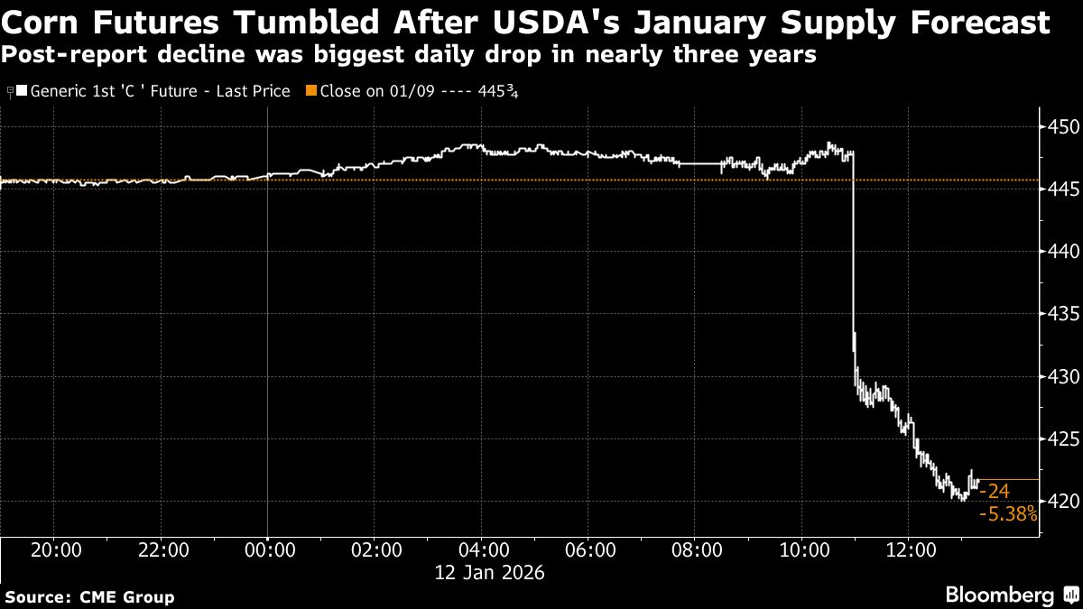 Corn futures tumbled after January forecast