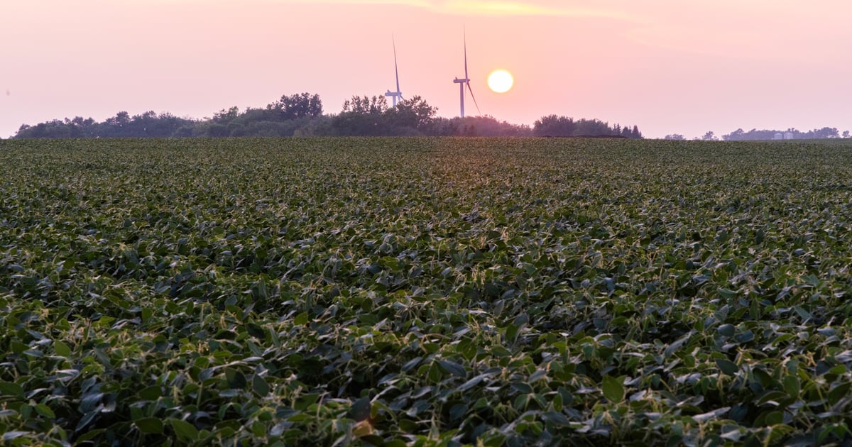 Surge of Iowa farmland sales likely later this year