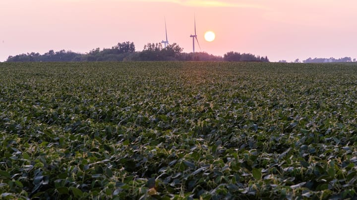Surge of Iowa farmland sales likely later this year