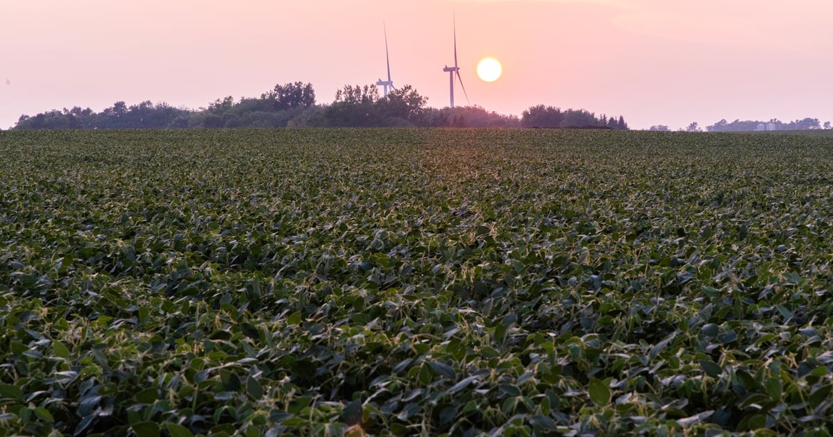 Surge of Iowa farmland sales likely later this year
