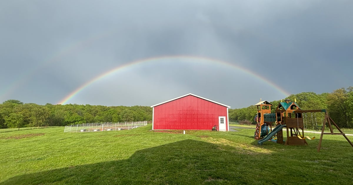Help your garden recover after heavy rain