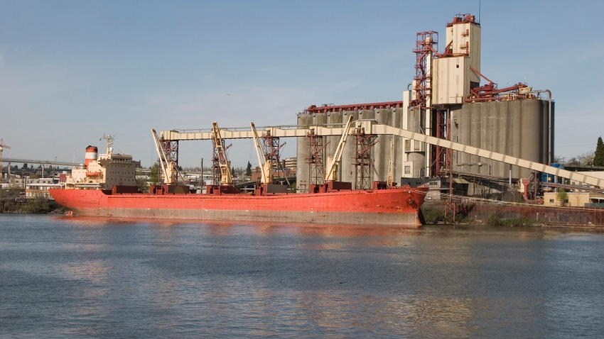 Loading export ship with grain