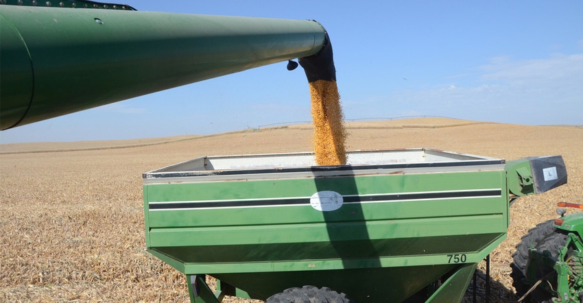 grain falling from auger into grain cart