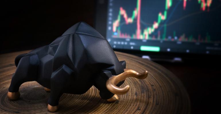 bull market bull market