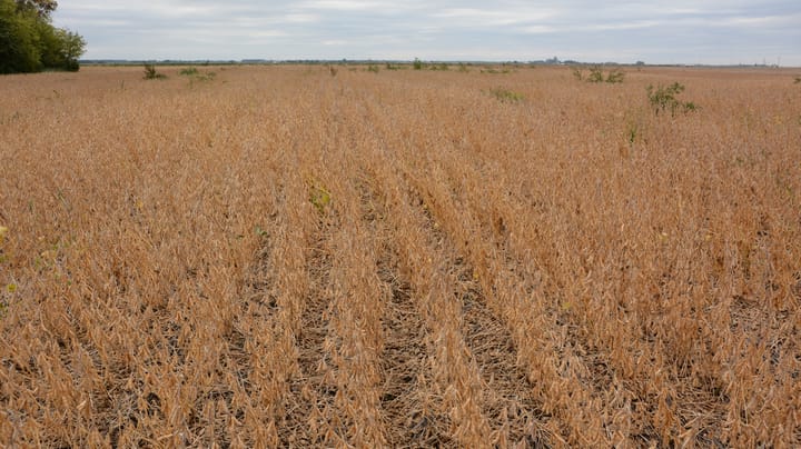 September 1986’s unprecedented storms crushed crop hopes