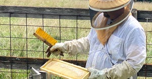 A beekeeper wearing protective head mask and gloves while holding a bee hive and a brush