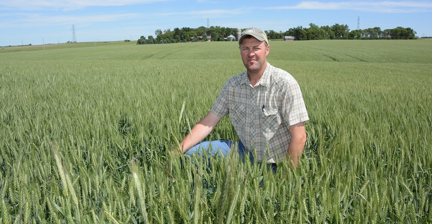 Brian Smith kneeling in winter wheat field