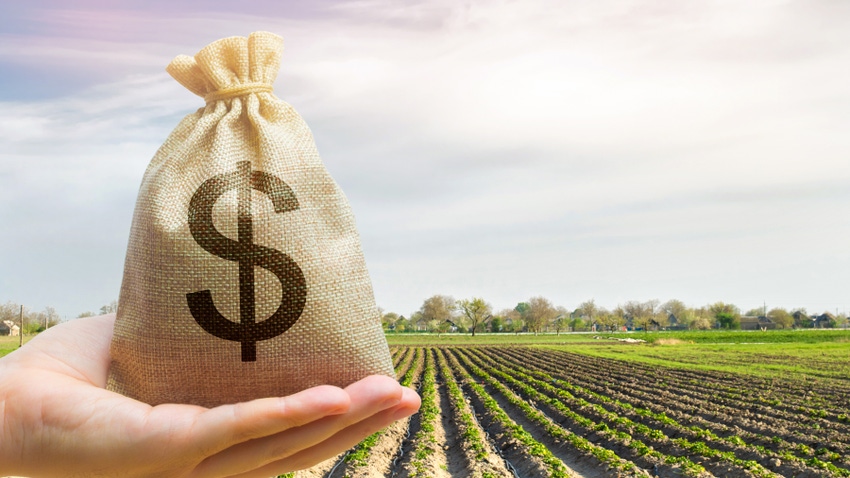 hand holding money bag with rows of crops in the background