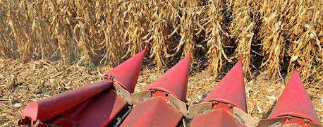 usda_crop_progress_condition_report_puts_corn_17_harvested_1_635482095720318381.jpg