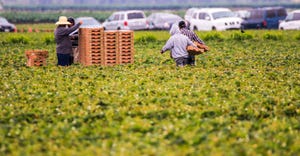 WFP-todd-fitchette-farmworkers..JPG