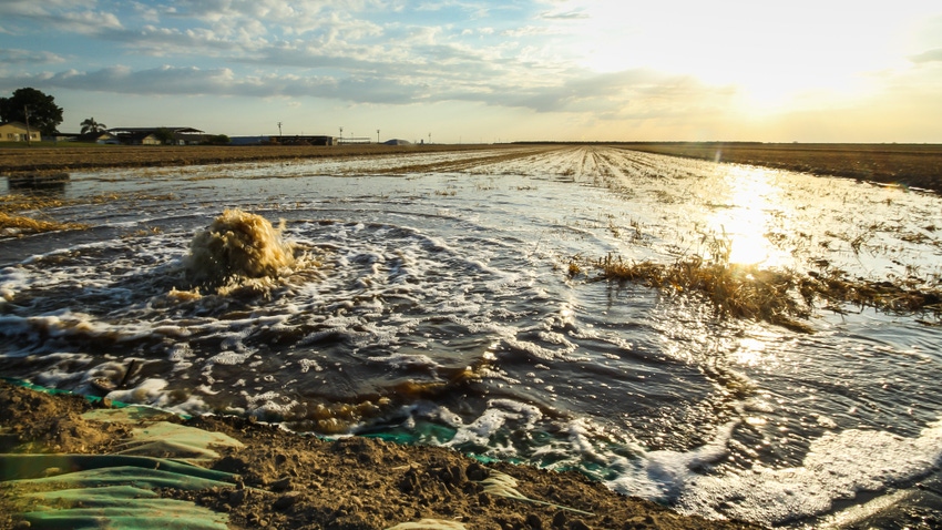 Flood irrigation