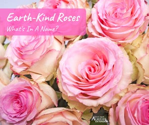 Earth-Kind-Roses-fb.jpg