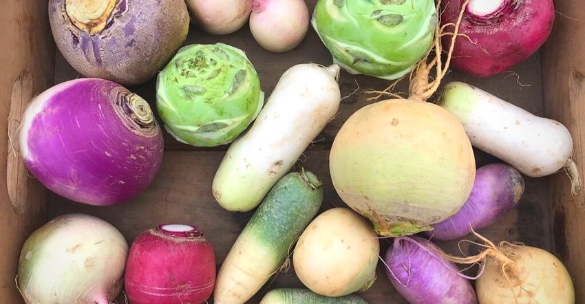 produce from farmers market