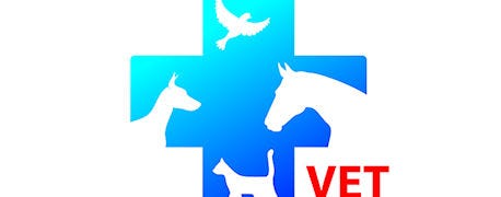 michigan_vet_running_cattle_production_veterinarian_hall_fame_1_635627114787144942.jpg