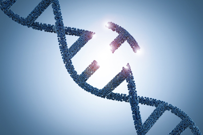 gene editing strand of DNA gene editing strand of DNA