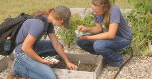 Youth at crop scouting competition