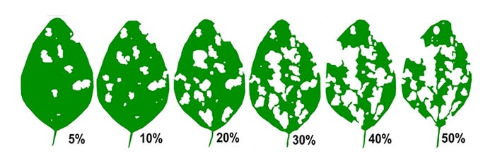DEFOLIATION THRESHOLDS of soybean leaves