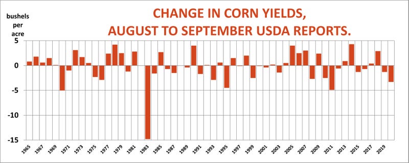 Change in corn yields August to September USDA reports
