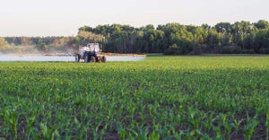 Machine spraying young corn field 