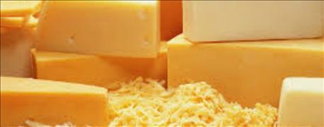 wisconsin_state_fair_cheese_butter_contest_winners_announced_1_635726832603784000.jpg