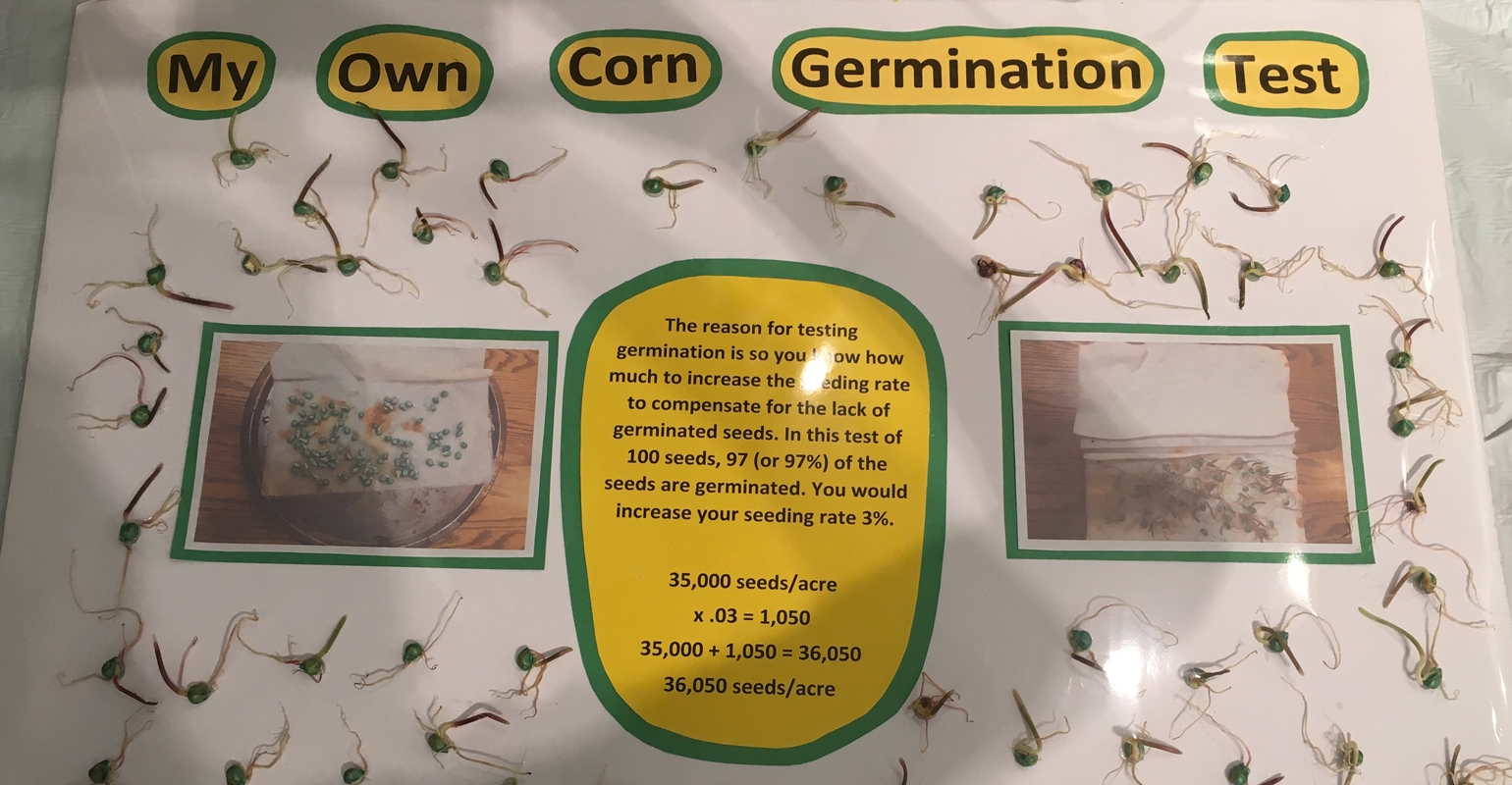 Corn germination test helps seeding rate