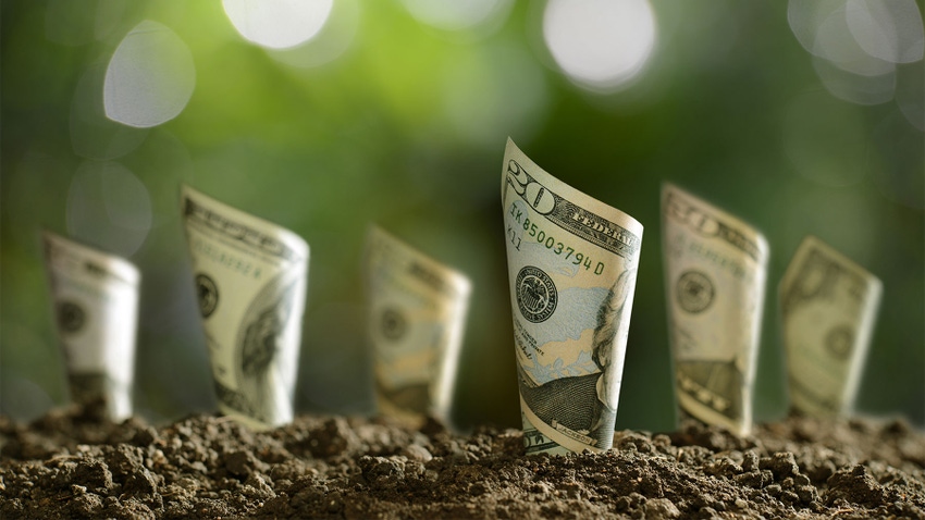 oncept photo of U.S. dollar bills growing from the soil