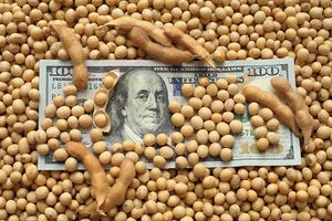 newsletter soybean income_1.jpg
