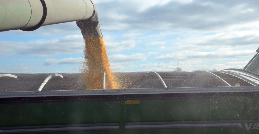 auger loading corn into grain cart