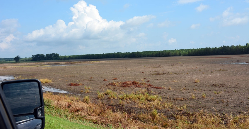 DFP-RonSmith-FloodedFields.jpg DFP-RonSmith-FloodedFields.jpg