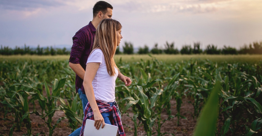 man and woman inspecting and walking through corn field