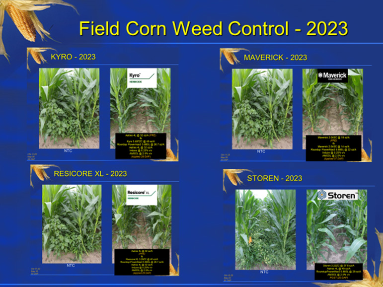 Corn Herbicides Portfolio | Choosing the Right Herbicides – RMWZ