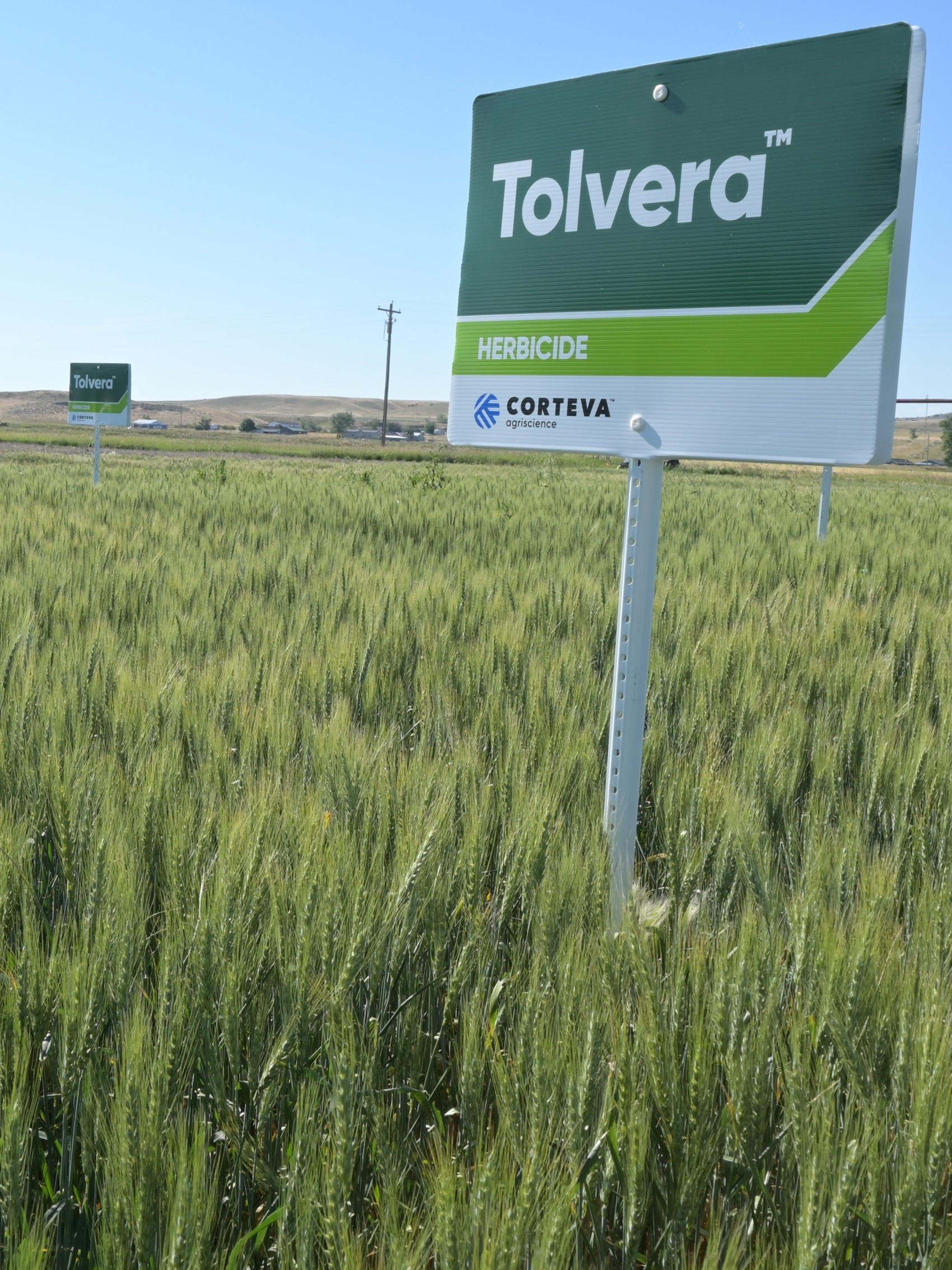 Tolvera™ herbicide expands crop-rotation options