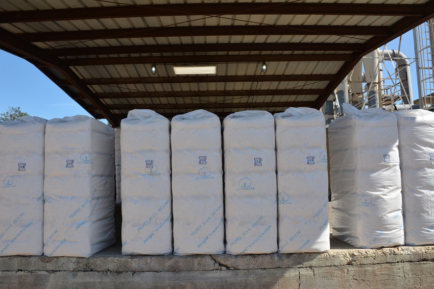 DFP-RonSmith-cotton-market.jpg DFP-RonSmith-cotton-market.jpg