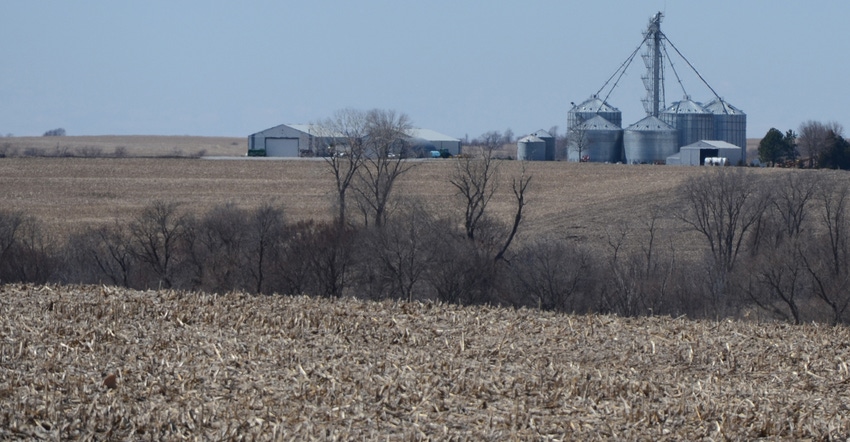 Corn field in fall with silos in the background
