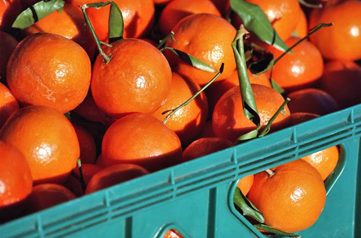  California TANGERINES FRESH PRODUCE FRUIT VEGETABLES 3 LB BAG :  Grocery & Gourmet Food