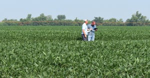 Marc Kaiser looks at a soybean field treated with ammonium sulfate in 2021
