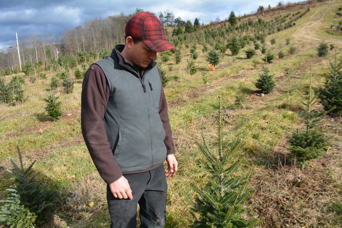 Larry Latta standing on his Christmas tree farm