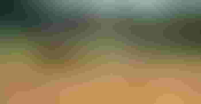0720T-3616C-1540x800.jpg 0720T-3616C-1540x800.jpg