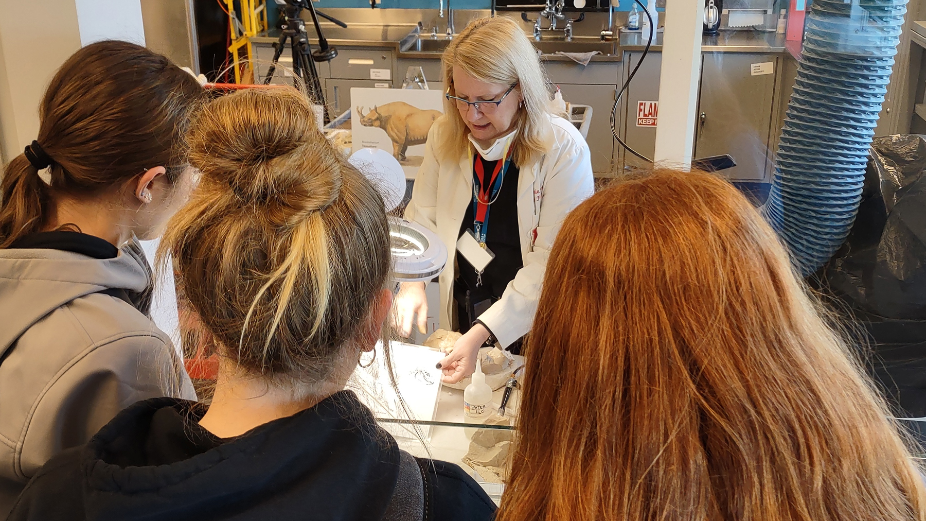 Meet ‘Archie’ at Morrill Hall