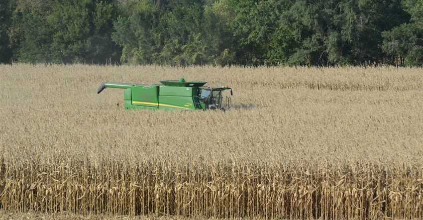 combine in mature corn field