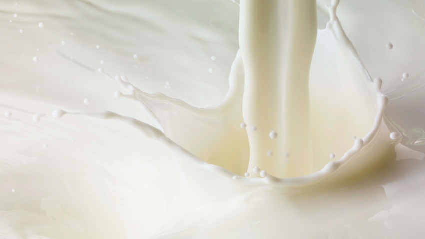 milk pour and splash milk pour and splash