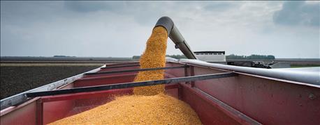 usda_crop_progress_corn_harvest_27_soybeans_42_1_635796582168797616.jpg