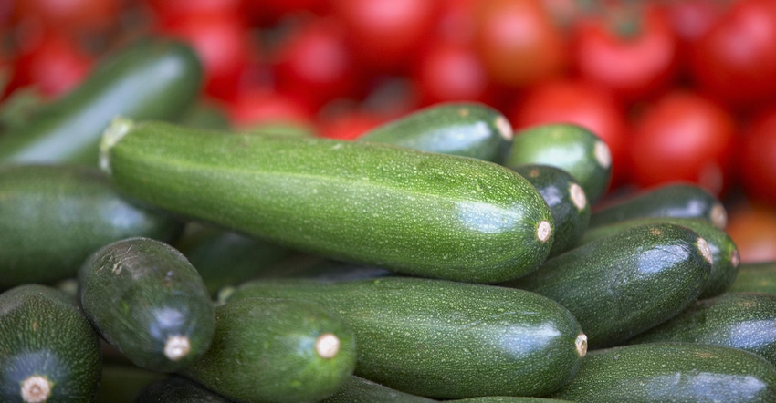 Zucchinis and tomatoes
