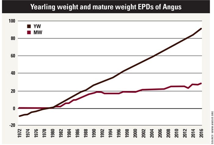 3-15-yearling-weight-graph.jpg