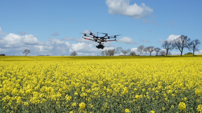 drone flying over yellow rapeseed field on sunny day