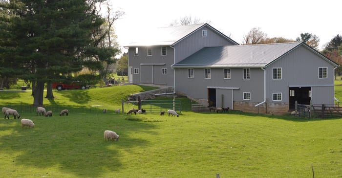 sheep and Dow barn