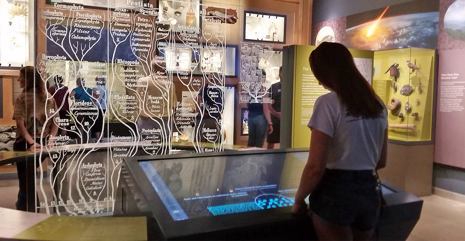 Bell Museum shows Minnesota's rich natural history